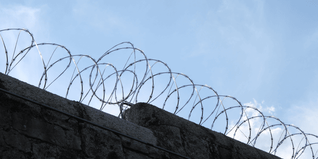 Libertad entre cuatro paredes