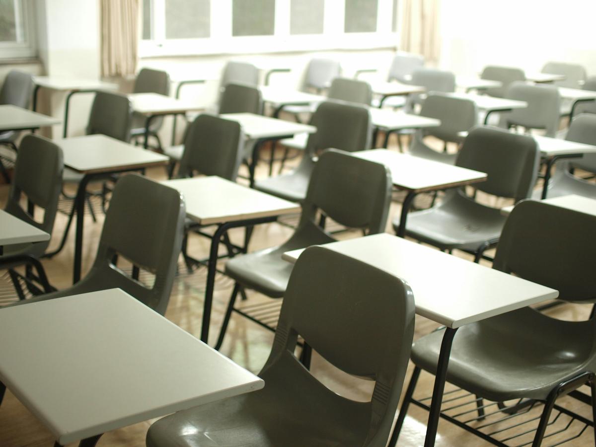 El Estado y la educación